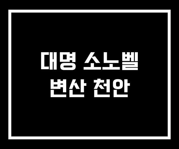 대명 소노벨 변산 천안