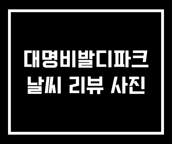 대명비발디파크 날씨 리뷰 사진