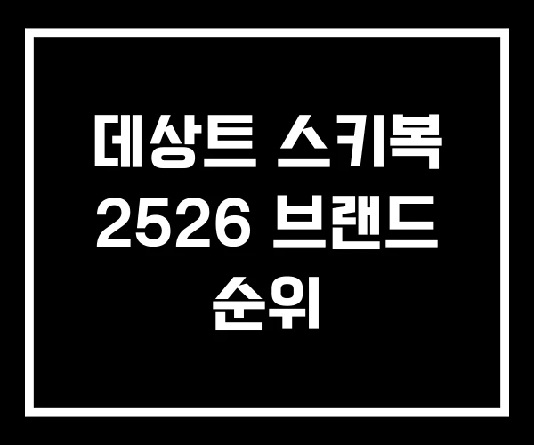 데상트 스키복 2526 브랜드 순위