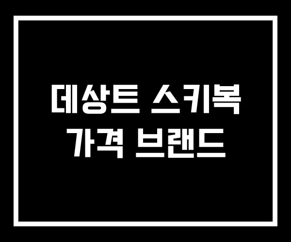 데상트 스키복 가격 브랜드