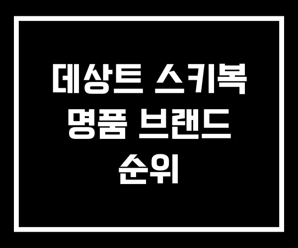 데상트 스키복 명품 브랜드 순위