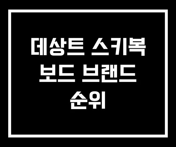 데상트 스키복 보드 브랜드 순위