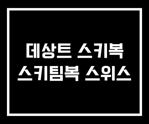 데상트 스키복 스키팀복 스위스