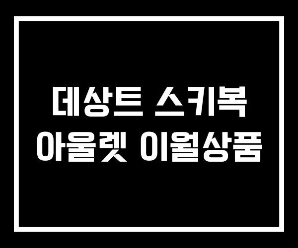 데상트 스키복 아울렛 이월상품