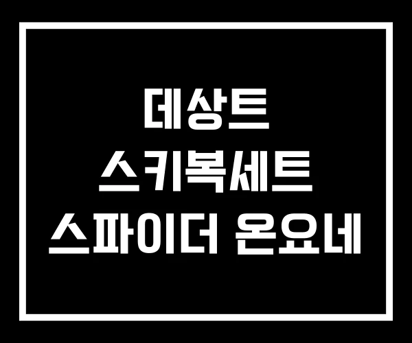 데상트 스키복세트 스파이더 온요네