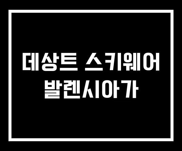 데상트 스키웨어 발렌시아가