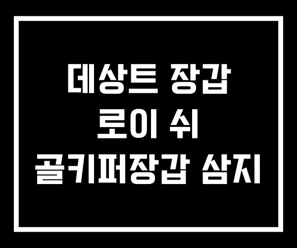 데상트 장갑 로이 쉬 골키퍼장갑 삼지 데상트 장갑 로이 쉬 골키퍼장갑 삼지