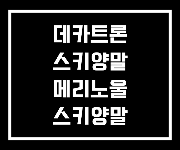 데카트론 스키양말 메리노울 스키양말