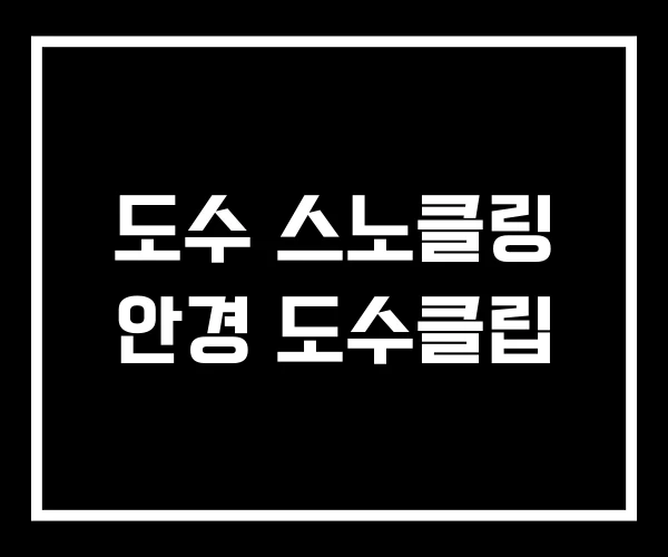 도수 스노클링 안경 도수클립