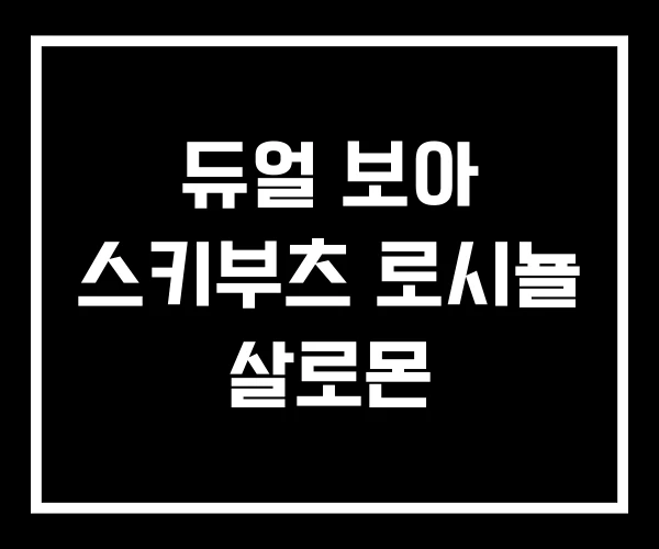 듀얼 보아 스키부츠 로시뇰 살로몬