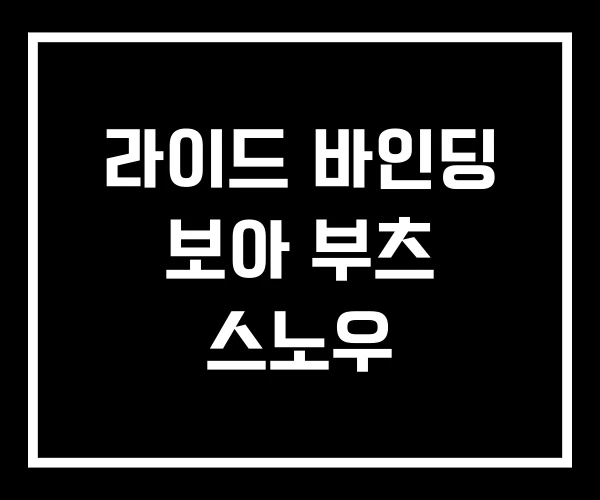 라이드 바인딩 보아 부츠 스노우