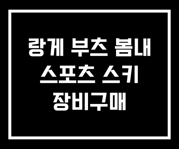랑게 부츠 봄내 스포츠 스키 장비구매 랑게 부츠 봄내 스포츠 스키 장비구매