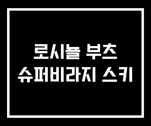 로시뇰 부츠 슈퍼비라지 스키