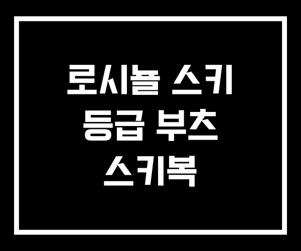 로시뇰 스키 등급 부츠 스키복