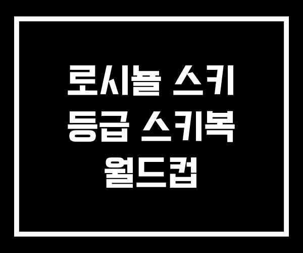 로시뇰 스키 등급 스키복 월드컵 로시뇰 스키 등급 스키복 월드컵