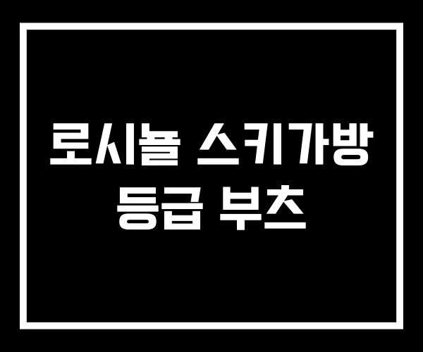로시뇰 스키가방 등급 부츠
