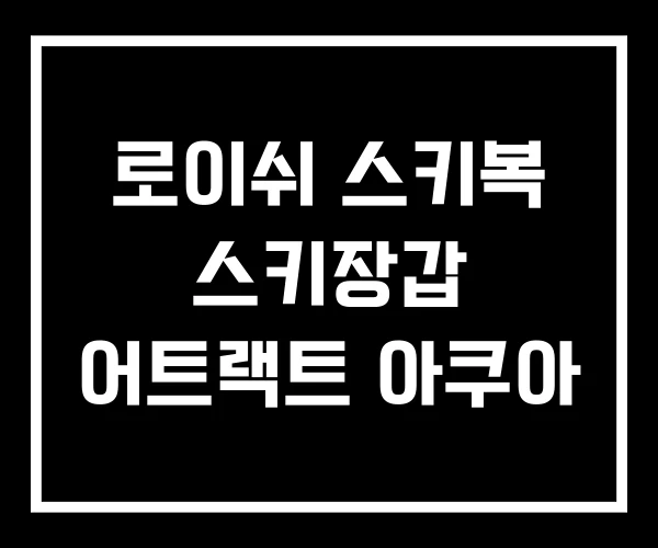 로이쉬 스키복 스키장갑 어트랙트 아쿠아