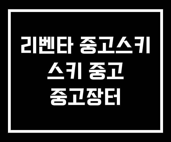 리벤타 중고스키 스키 중고 중고장터