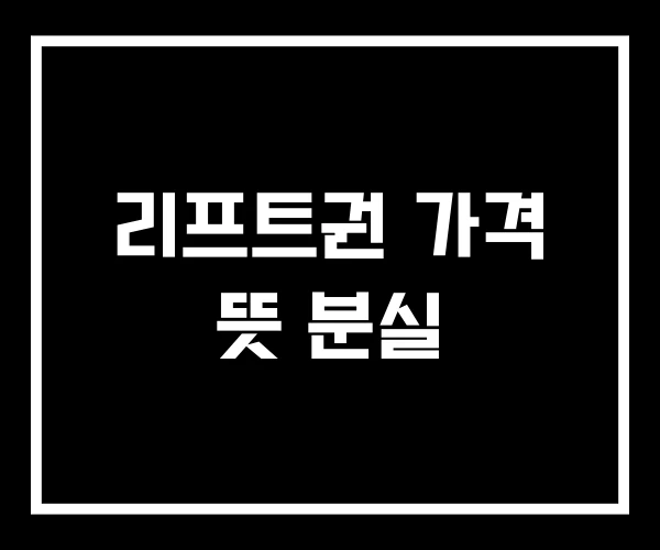 리프트권 가격 뜻 분실