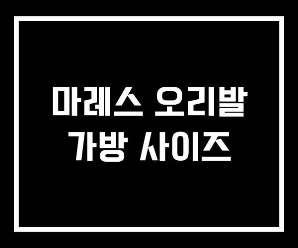 마레스 오리발 가방 사이즈