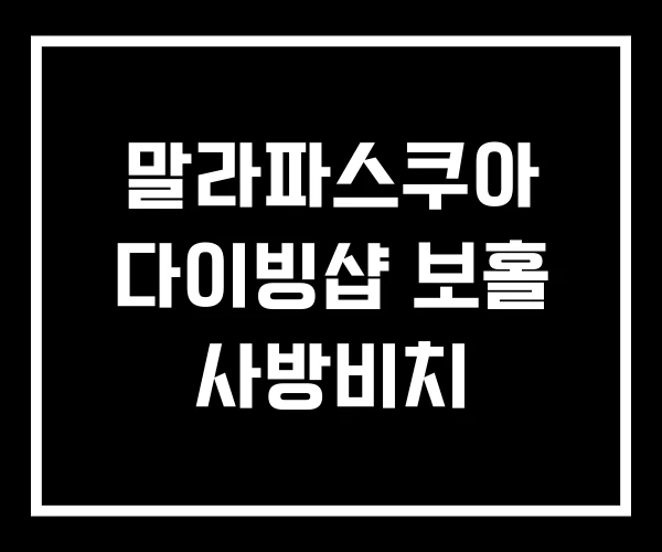 말라파스쿠아 다이빙샵 보홀 사방비치