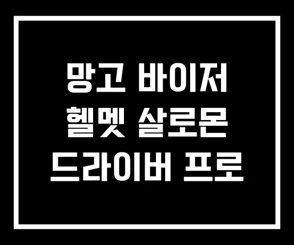 망고 바이저 헬멧 살로몬 드라이버 프로