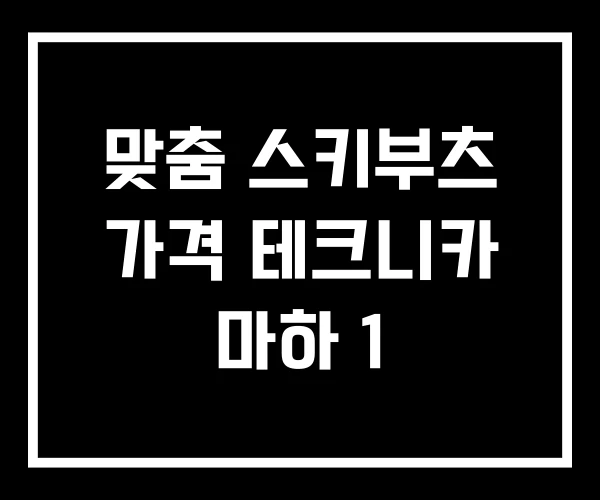 맞춤 스키부츠 가격 테크니카 마하 1