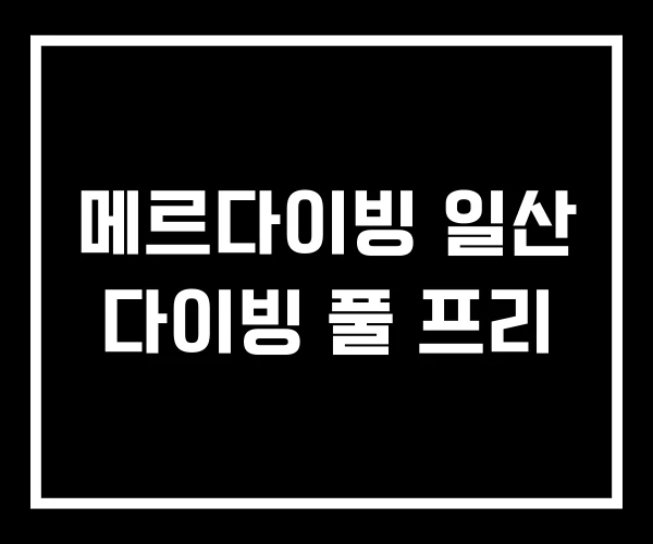 메르다이빙 일산 다이빙 풀 프리