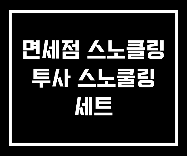 면세점 스노클링 투사 스노쿨링 세트