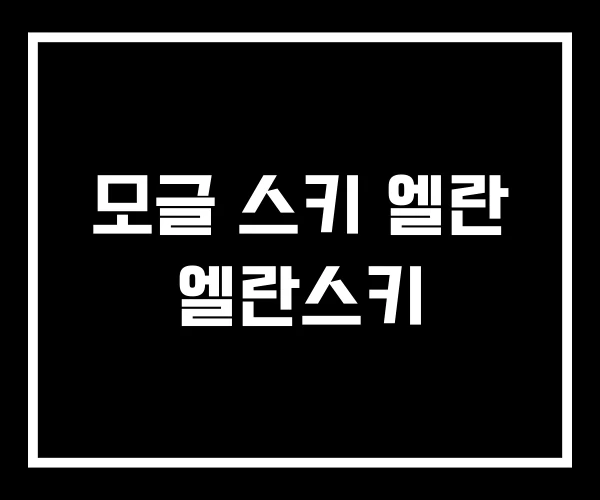 모글 스키 엘란 엘란스키