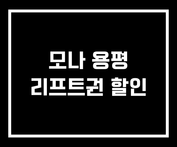 모나 용평 리프트권 할인