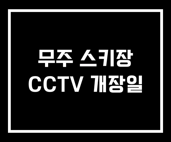 무주 스키장 CCTV 개장일