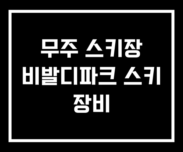 무주 스키장 비발디파크 스키 장비