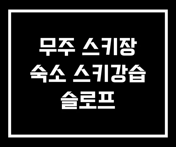 무주 스키장 숙소 스키강습 슬로프