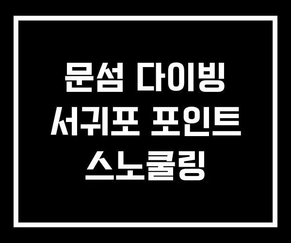 문섬 다이빙 서귀포 포인트 스노쿨링
