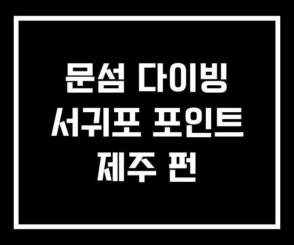 문섬 다이빙 서귀포 포인트 제주 펀