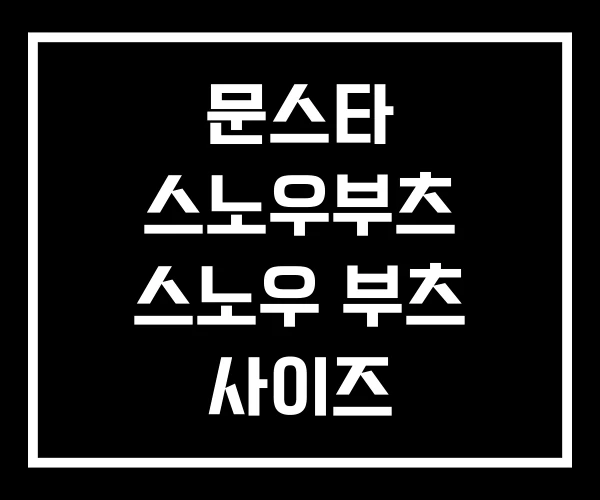 문스타 스노우부츠 스노우 부츠 사이즈 문스타 스노우부츠 스노우 부츠 사이즈