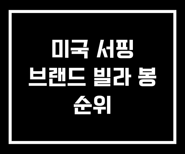 미국 서핑 브랜드 빌라 봉 순위