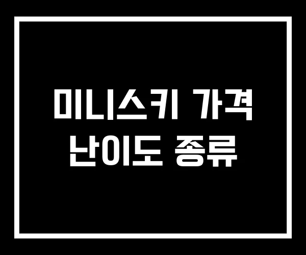미니스키 가격 난이도 종류
