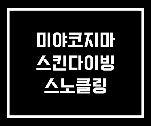 미야코지마 스킨다이빙 스노클링