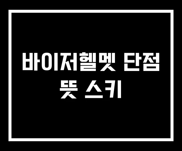 바이저헬멧 단점 뜻 스키