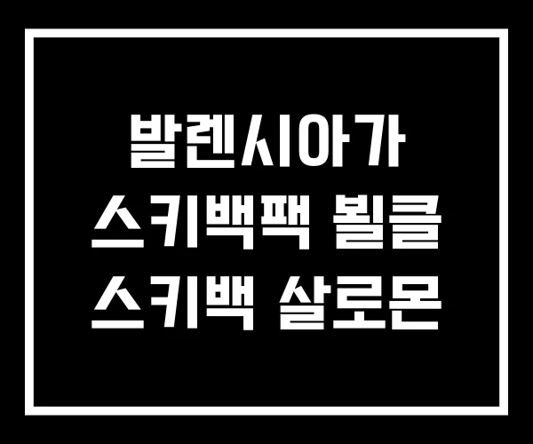발렌시아가 스키백팩 뵐클 스키백 살로몬
