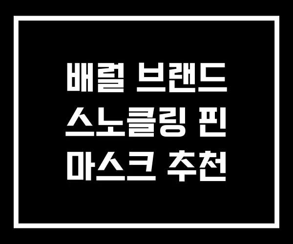 배럴 브랜드 스노클링 핀 마스크 추천