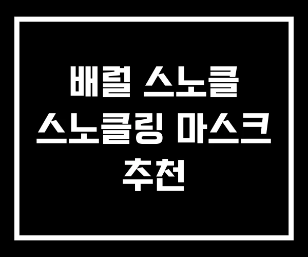 배럴 스노클 스노클링 마스크 추천