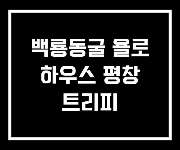 백룡동굴 욜로 하우스 평창 트리피