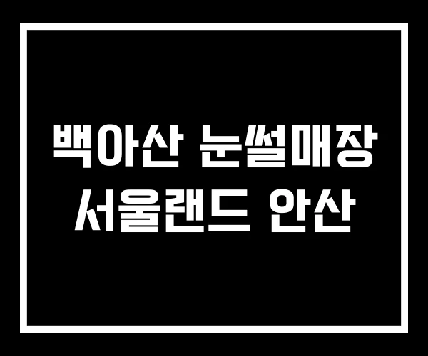 백아산 눈썰매장 서울랜드 안산