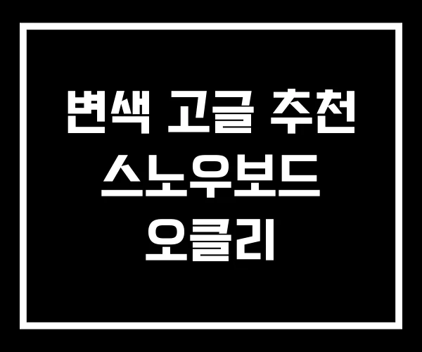 변색 고글 추천 스노우보드 오클리 변색 고글 추천 스노우보드 오클리