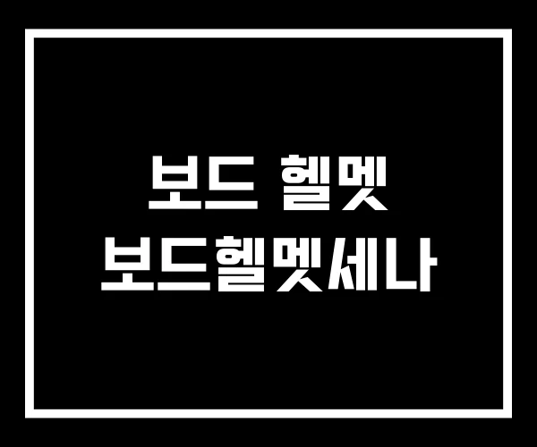 보드 헬멧 보드헬멧세나