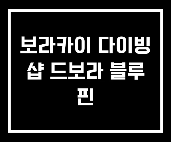 보라카이 다이빙 샵 드보라 블루 핀