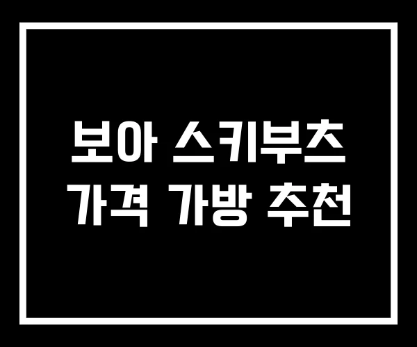 보아 스키부츠 가격 가방 추천 보아 스키부츠 가격 가방 추천